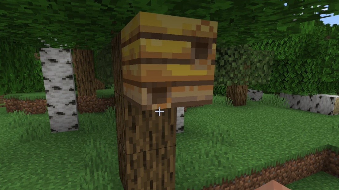 Minecraft: how to move a hive